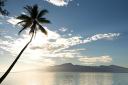 HoneyMoon 150.jpg